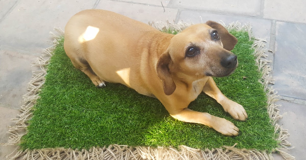 Totally Tutorials Tutorial How to Make a Custom Doormat