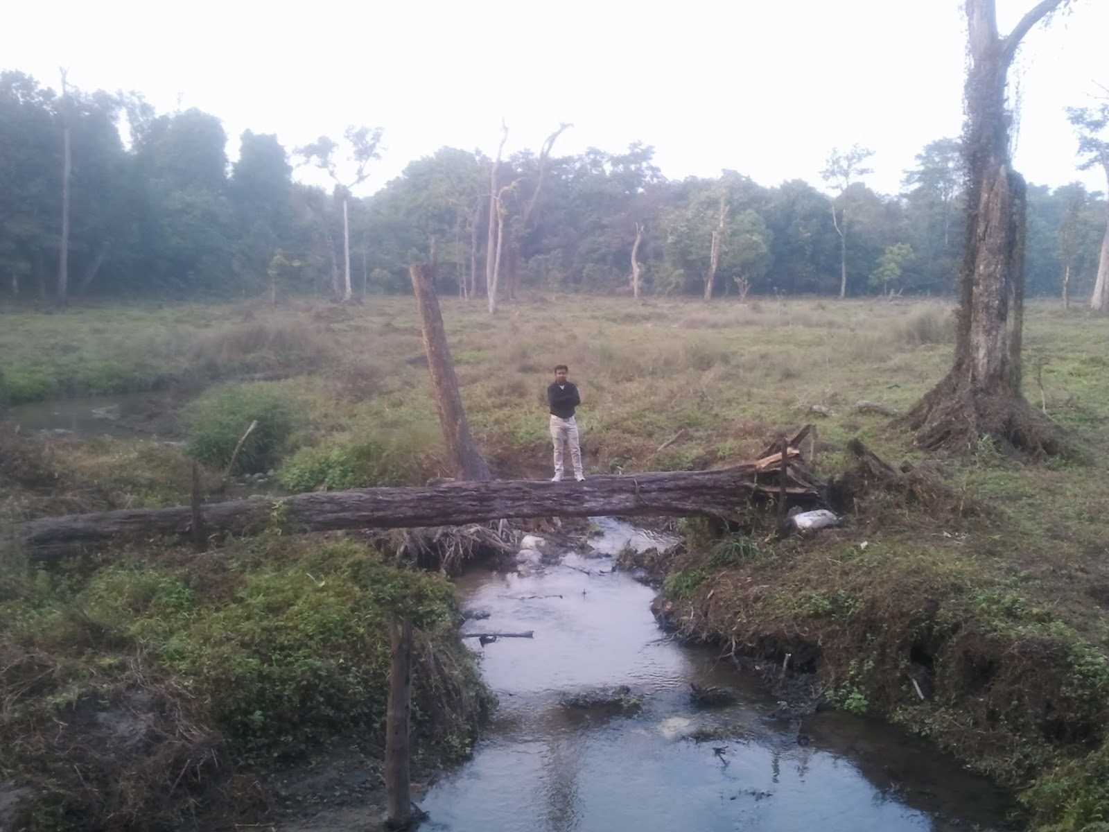 River in Gorumara Jungle Dooars