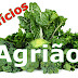 Os benefícios do Agrião para a saúde - Diabetes e Câncer!
