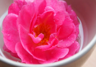 Rosewater for Wrinkles