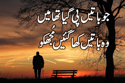 Jo Baatein Pee Gaya Tha Mea | 2 Line Urdu Poetry