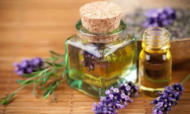 Cara Mengusir Nyamuk Secara Alami Menggunakan Minyak Lavender