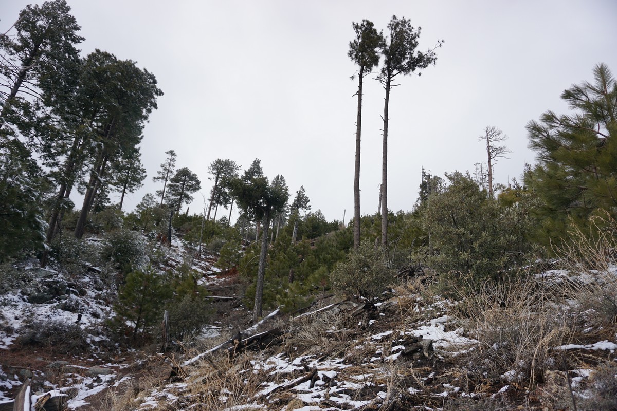 Harriman Hiker Harriman State Park and Beyond Box Springs Trailhead
