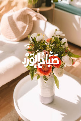اجمل خلفيات صباحية تحفه اوى صباح الورد