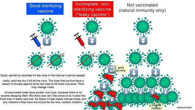 Imperfect Vaccination Can Enhance the Transmission of Highly Virulent Pathogens