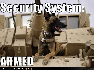 funny-dog-pictures-security-armed.jpg