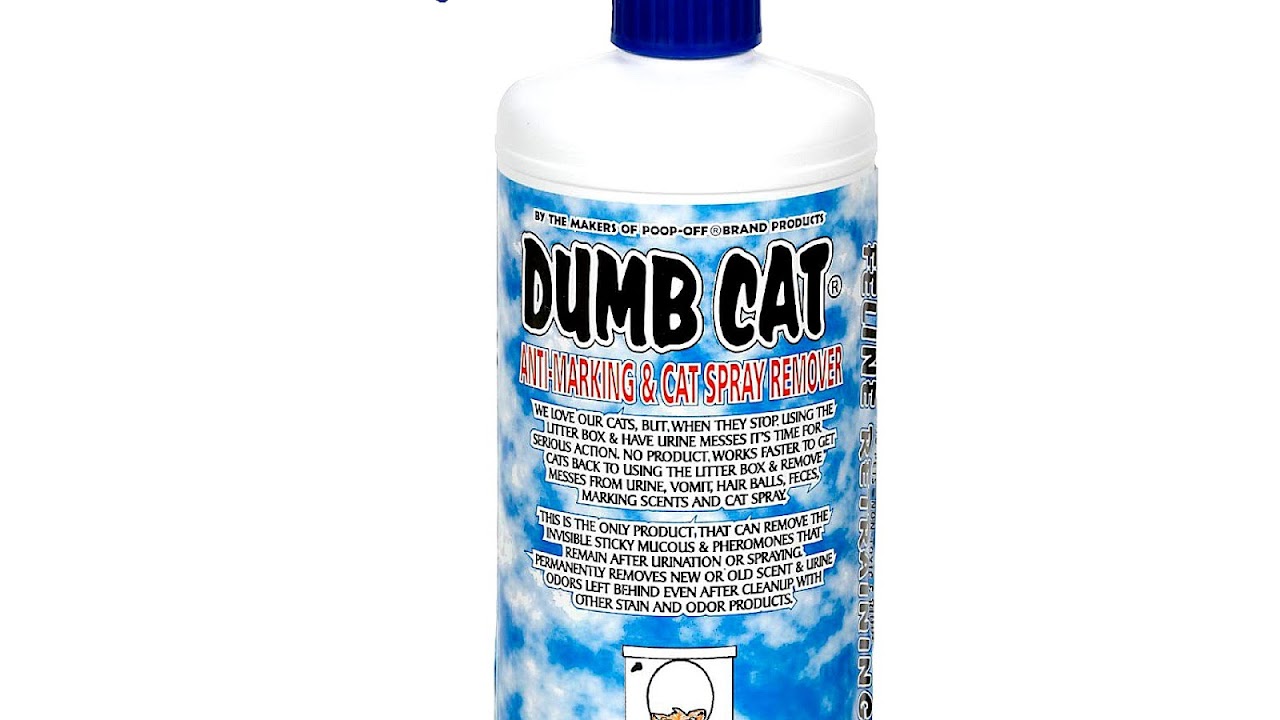 Skunk - Cat Spray Odor - Cat Choices