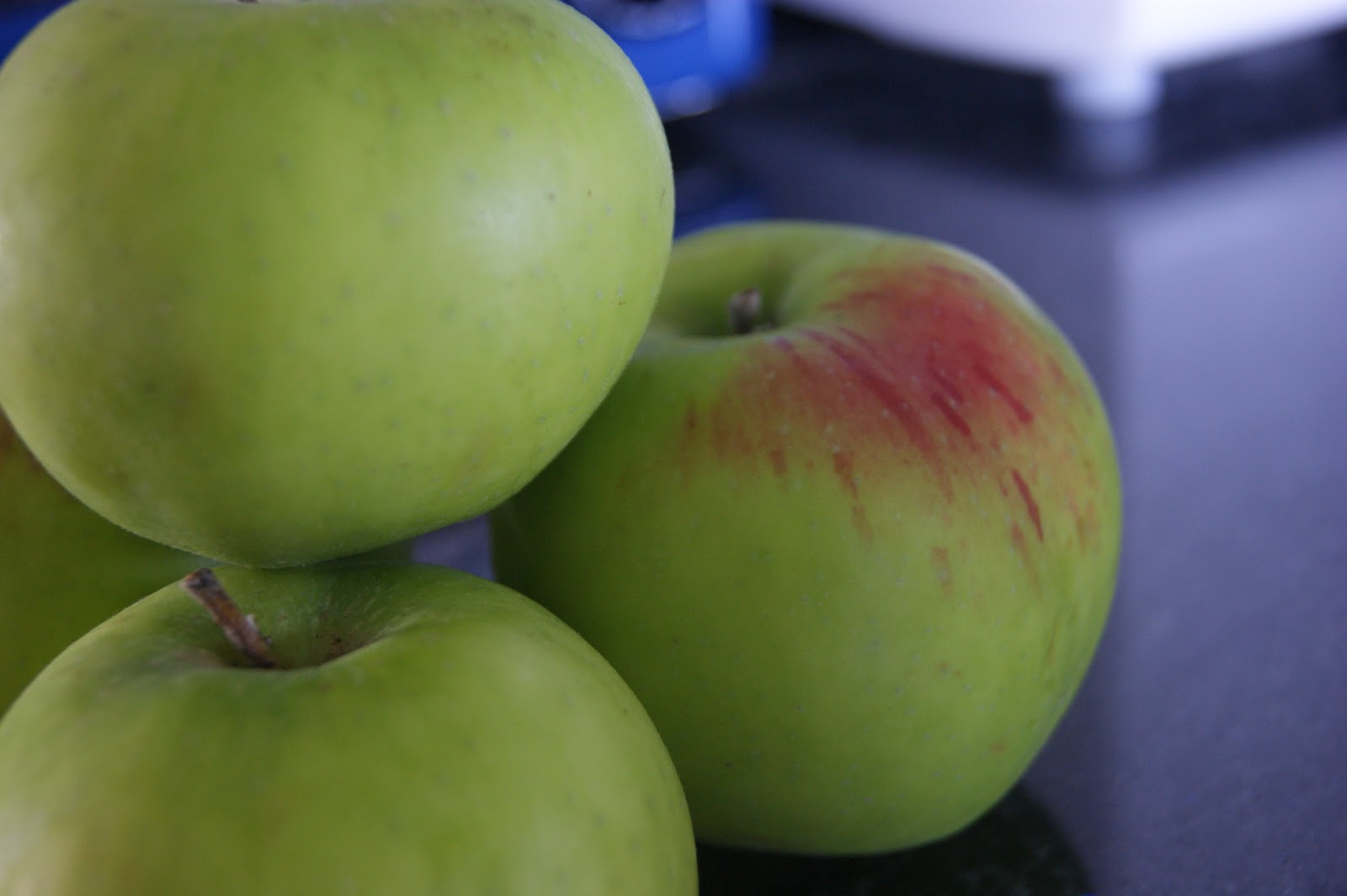 Featured image of post Simple Way to Blackberry Sponge Pudding