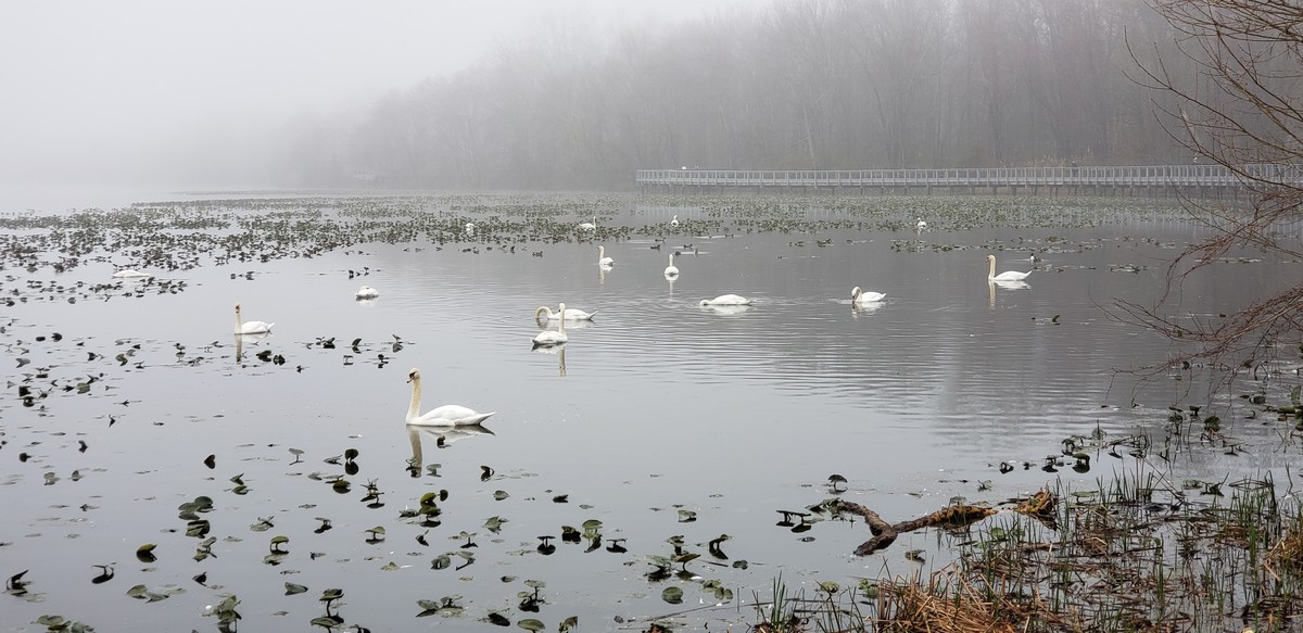 Harriman Hiker Harriman State Park and Beyond Congers Lake Loop Spring Hike