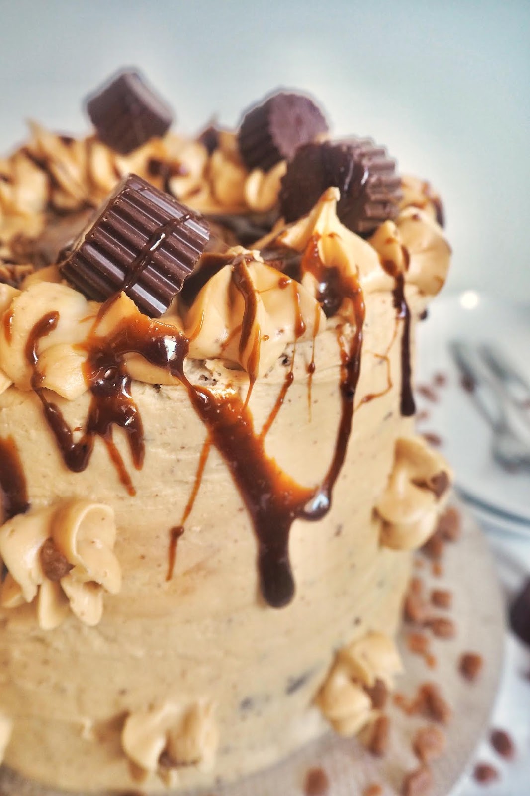 Chocolate Caramel Layer Cake Christina Cullen