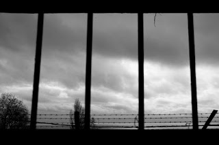 derin deniz balığı...: SONUNDA SİNOP