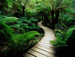 Photography Beautiful Nature Real 1