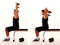 Dambıl ile Arkaya İndirme(One Hand Dumbell Extension)