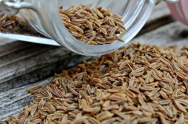 أهم فوائد الشمر أهم فوائد الشمر