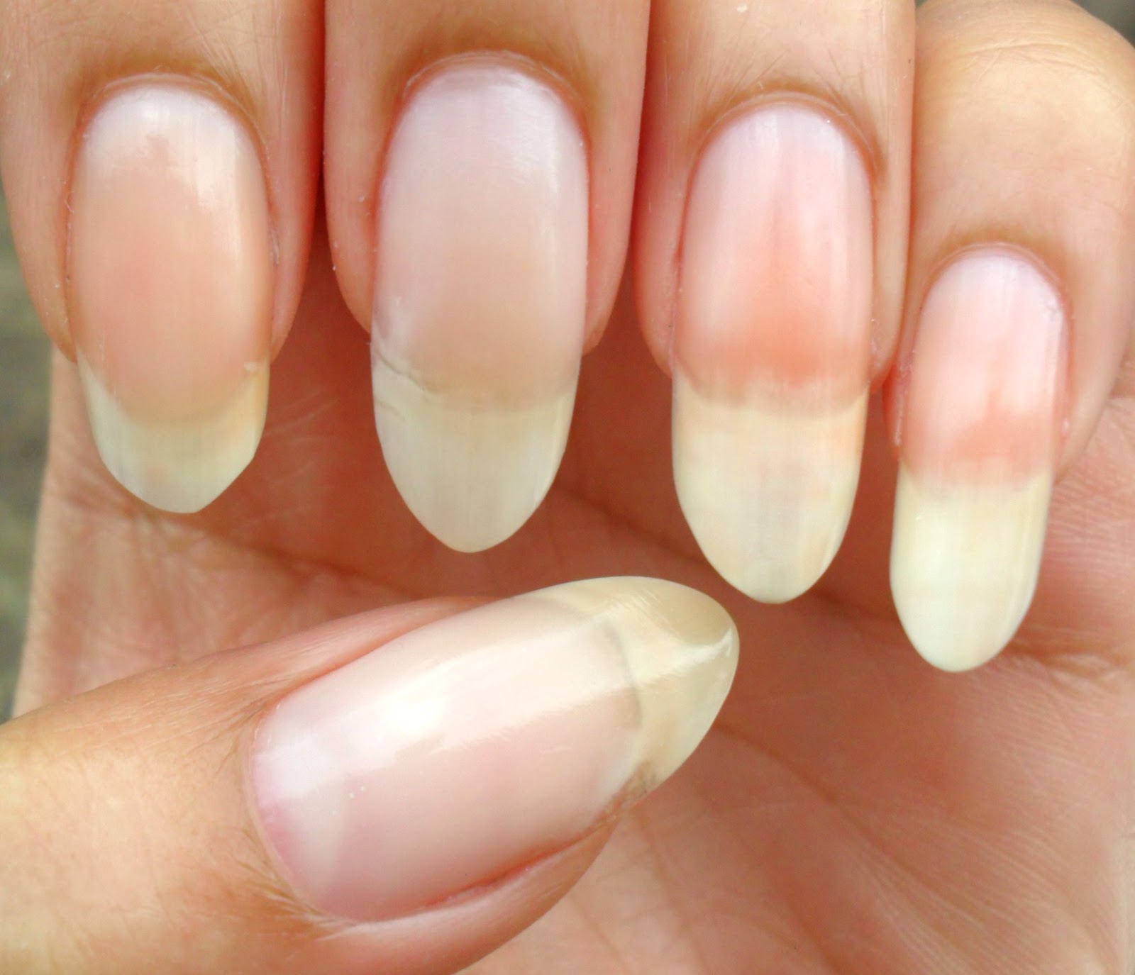 AshLilly's Lacquer Lust The nail extension