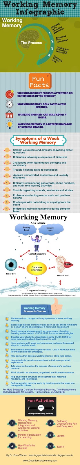 working memory working memory