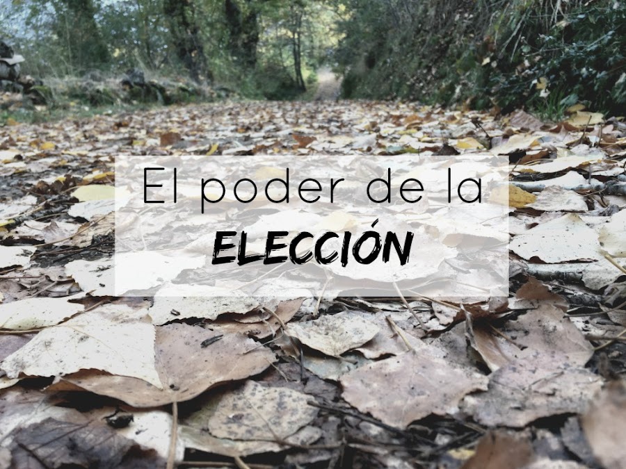 http://www.mediasytintas.com/2016/12/el-poder-de-la-eleccion.html