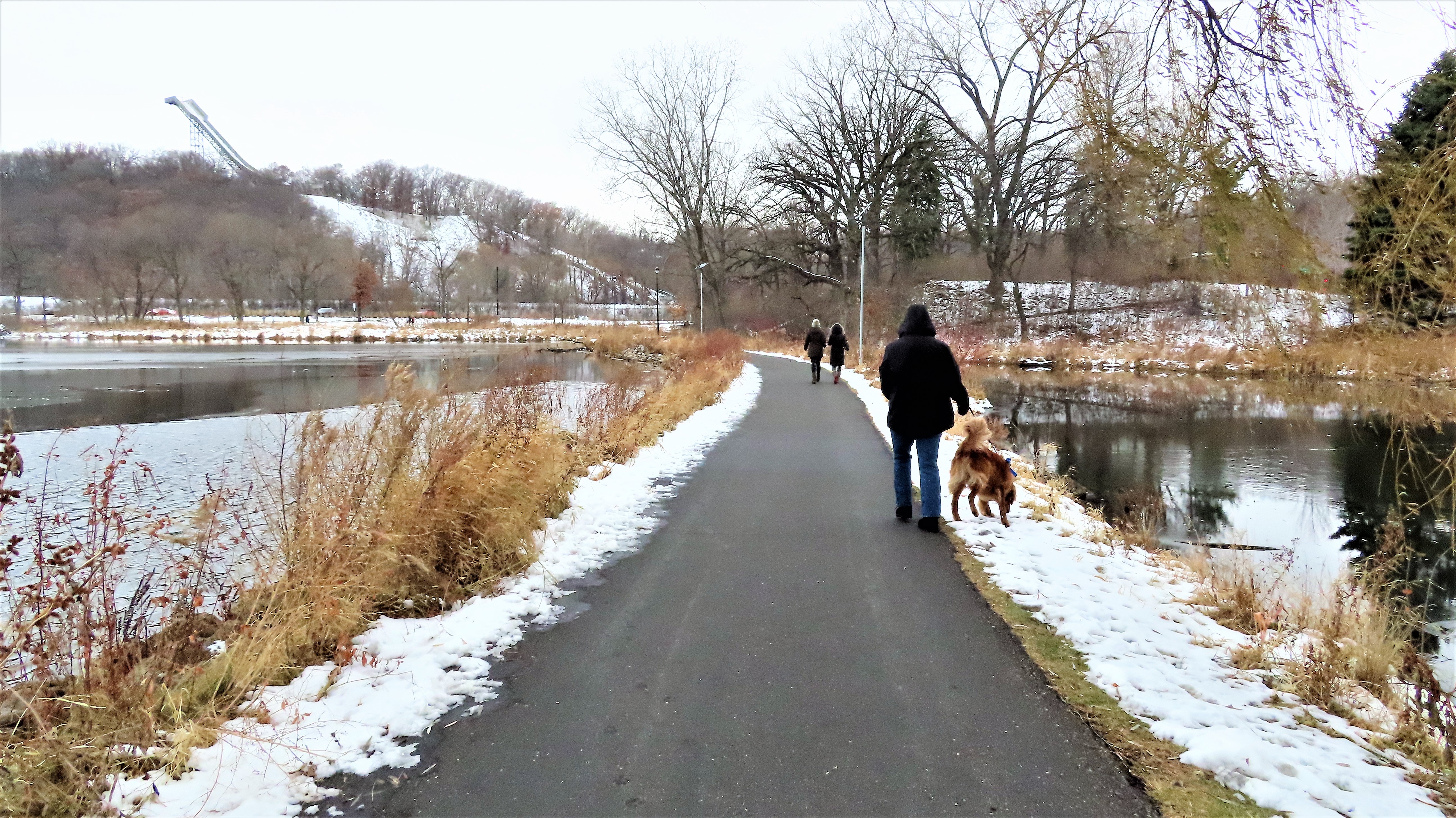 Todd Swank: Normandale Lake Park in Bloomington, Minnesota