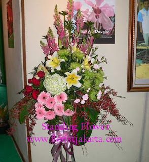 bunga standing congratulation