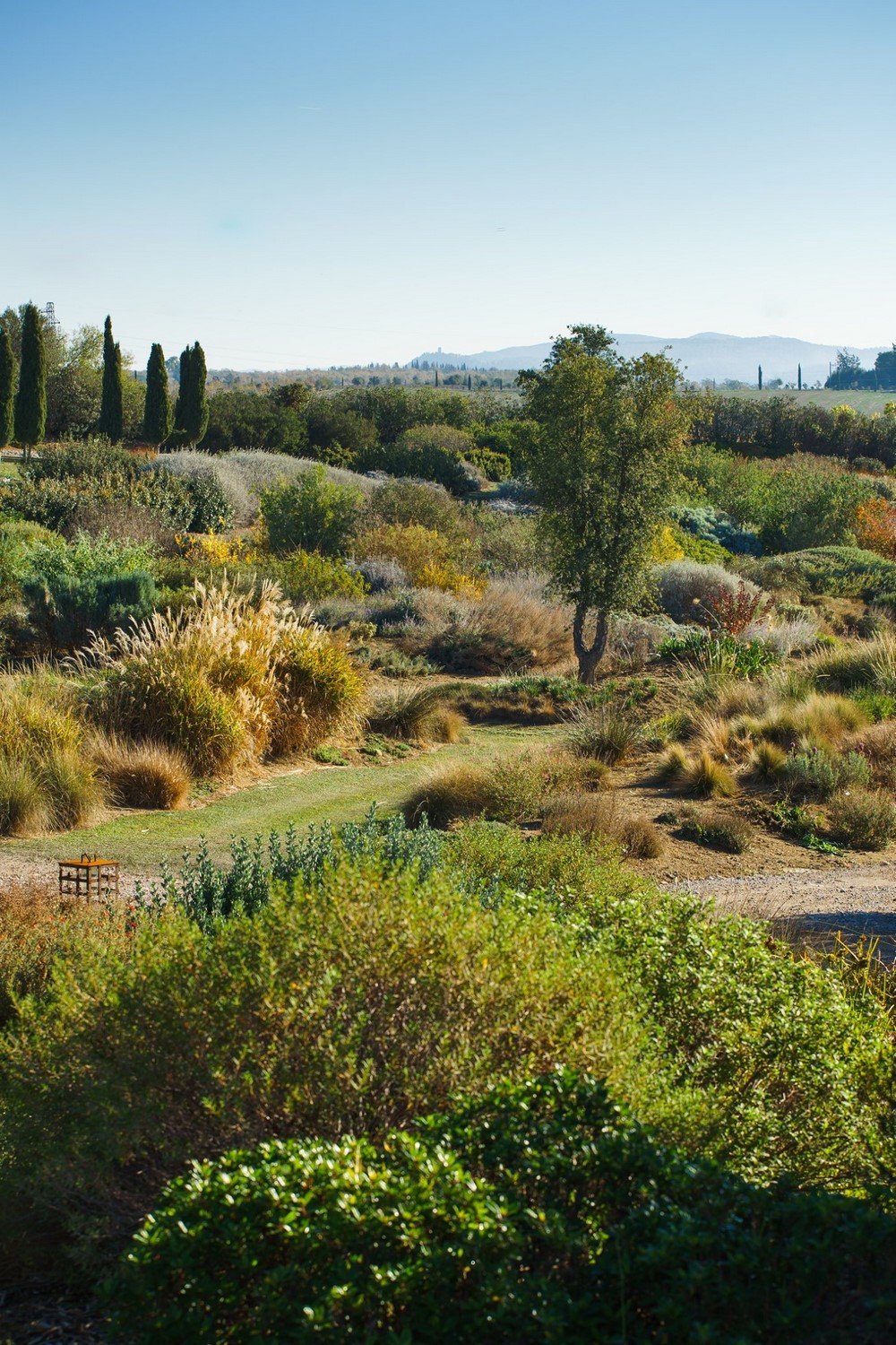Botanical Dry Garden, un jardín de secano bajo el sol de la Toscana