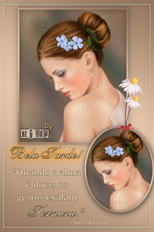 NOVO341%2B%2528MB%2529maryluz.png