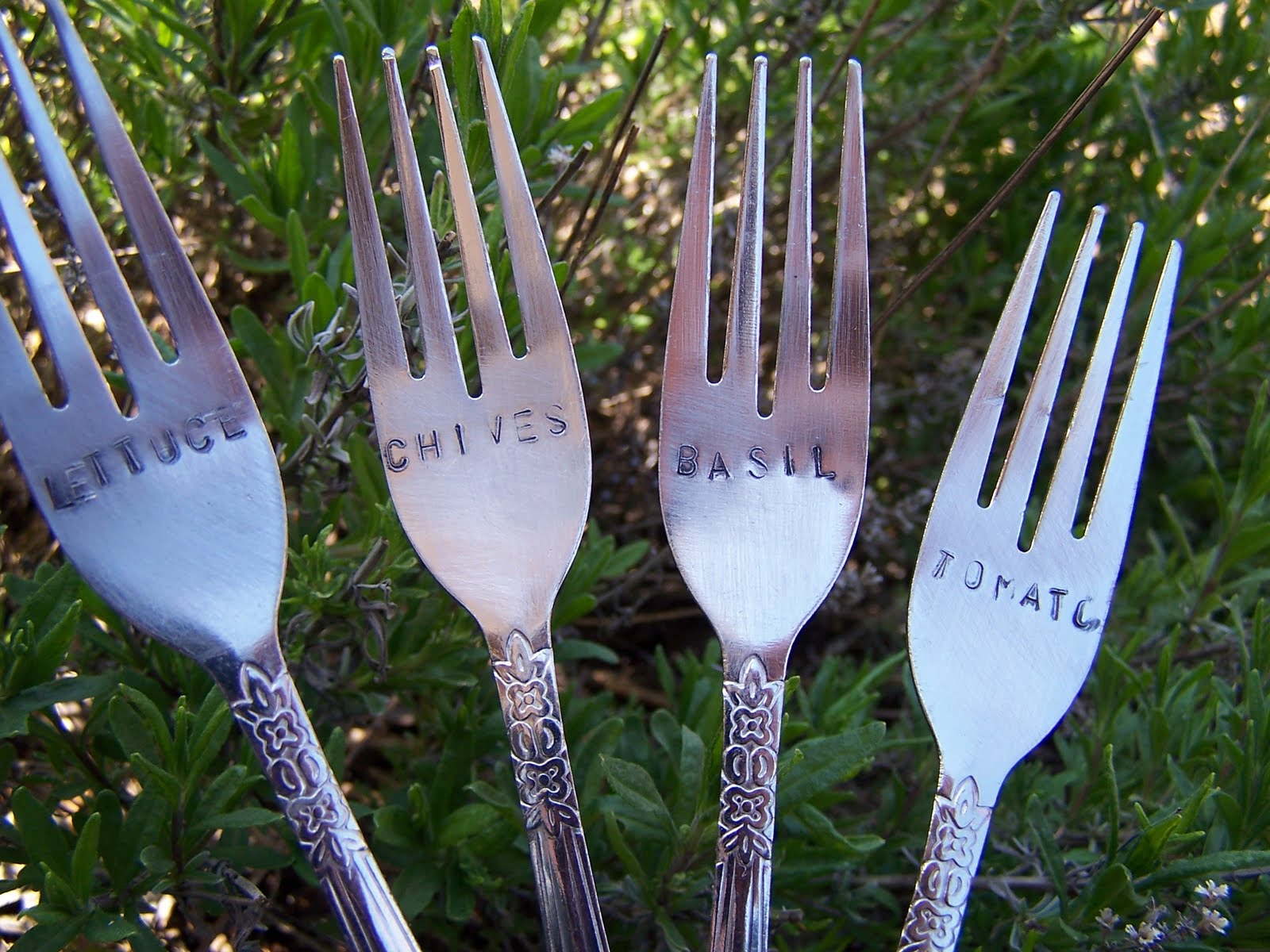 Plant markers garden sage marker write vegetable herb easy
