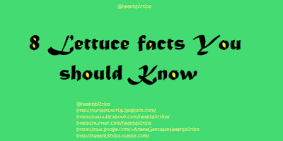 interesting Facts and Health Benefits of Lettuce