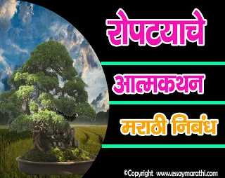 vruksharopanat lavlelya ropatyache atmavrutta essay in marathi