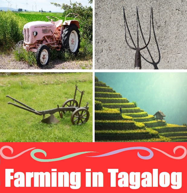 Farming in Tagalog