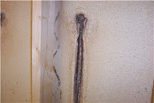 Aquaseal Licensed Basement Waterproofing Contractors Ontario 1-800-NO-LEAKS or 1-800-665-3257