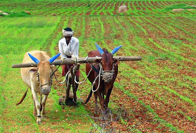interest free crop loan to farmer
