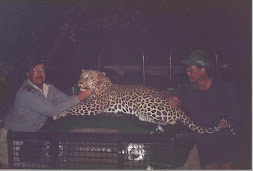 205 lb. Leopard-Zimbabwe-1990