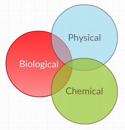 The Cubicle Farm Refugee: Why Regenerative Agriculture?