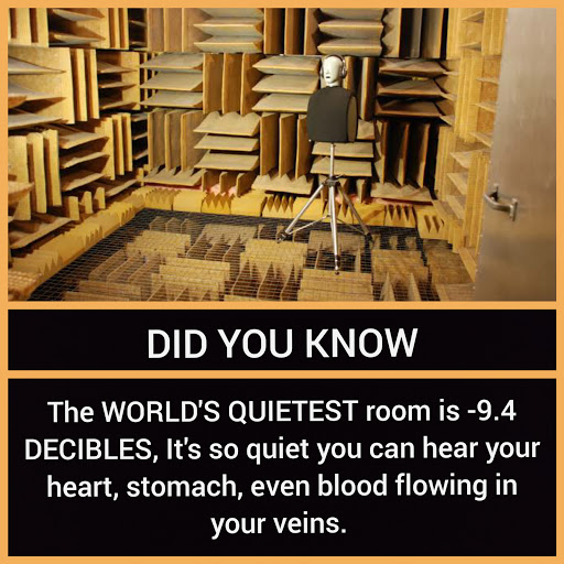 10 World's Quietest Room
