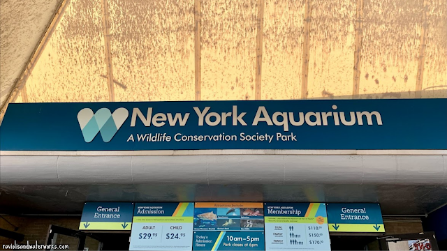 everything you need to know about the new york aquarium in brooklyn