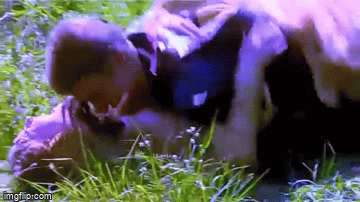 4dmwzf.gif%20f