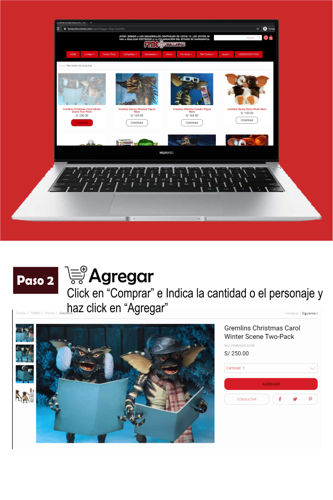 Paso 2 AGREGAR al carrito
