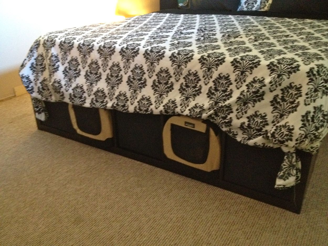 bed with space underneath for dog