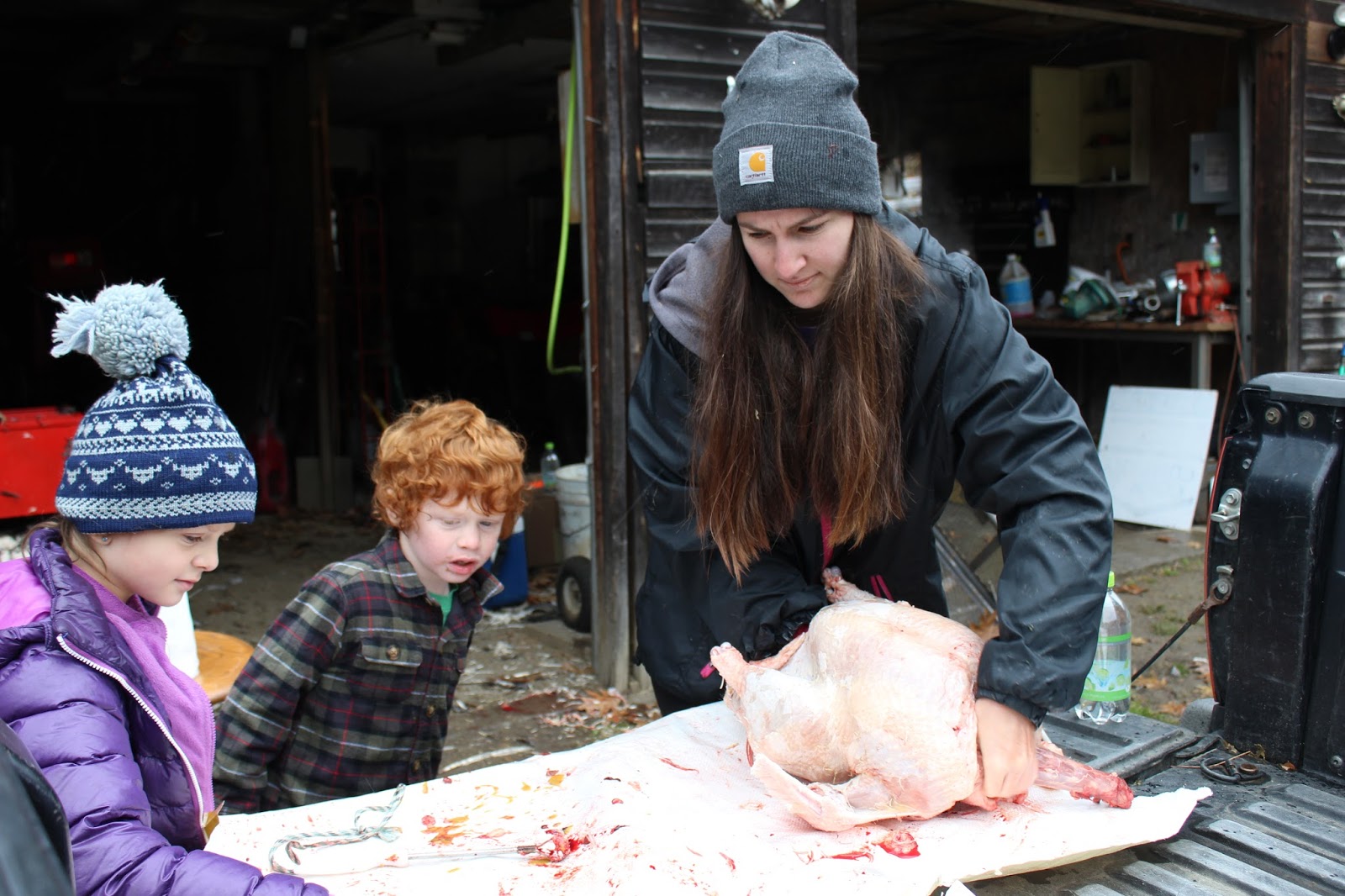 Processing Turkey Real Life Farm to Table
