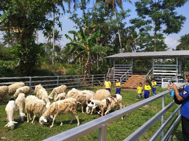 Gambar Desain Umbaran Kandang Kambing Modern Terkoleksi