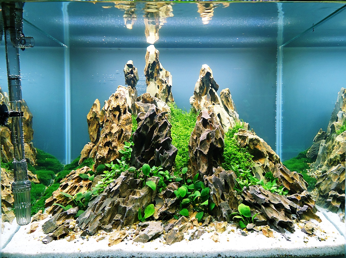 Горы в аквариуме