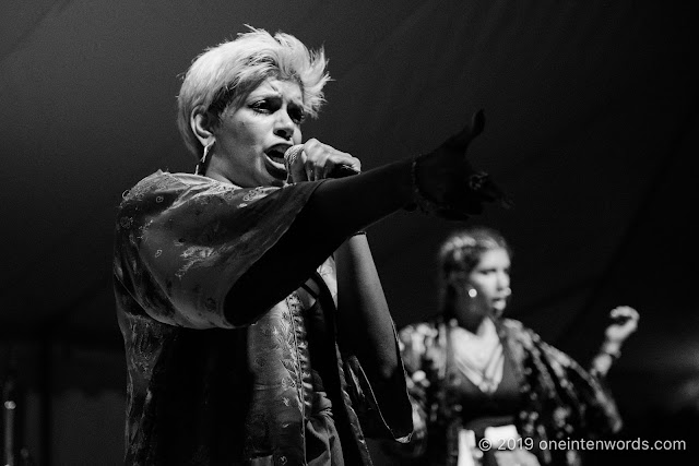 Cartel Madras at Hillside Festival on Friday, July 12, 2019 Photo by John Ordean at One In Ten Words oneintenwords.com toronto indie alternative live music blog concert photography pictures photos nikon d750 camera yyz photographer