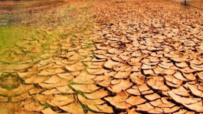 Amalan Agar Anak Jadi Penurut Mau Ngaji Belajar dan Patuh Disiplin