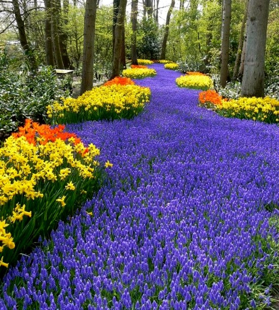 Aspects of sci, tech, wonders & nature Most beautiful gardens on the