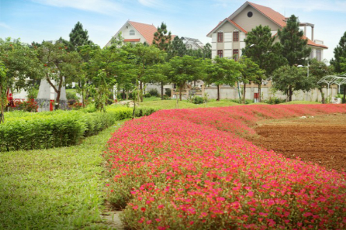 Tim dau ra san pham biet mang lai loi nhuan khung nhu biet thu sinh thai Dan Phuong