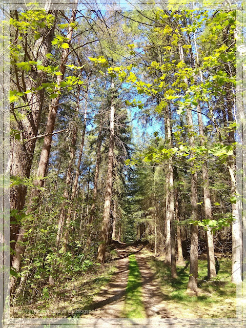 Mittwoch Juli 25 2018 Chamy 7 Comments