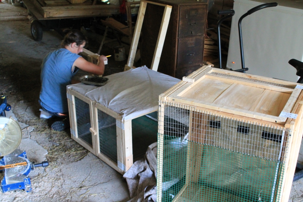 Stark Hollow Farm Vermont Forage Based Rabbits Kindling* Hutches