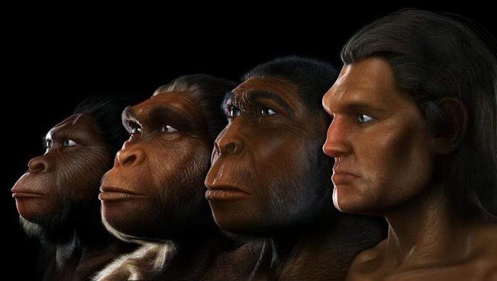 هل التطور الدارويني نظرية علمية مثبته ؟