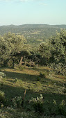 Desde el Cerro de la Higueruela