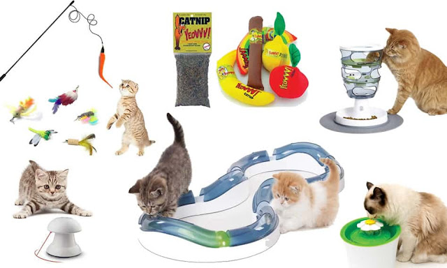 The Best Cat Toys Reviewed